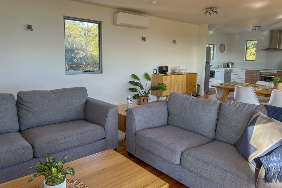 Comfortable modern couches in living room