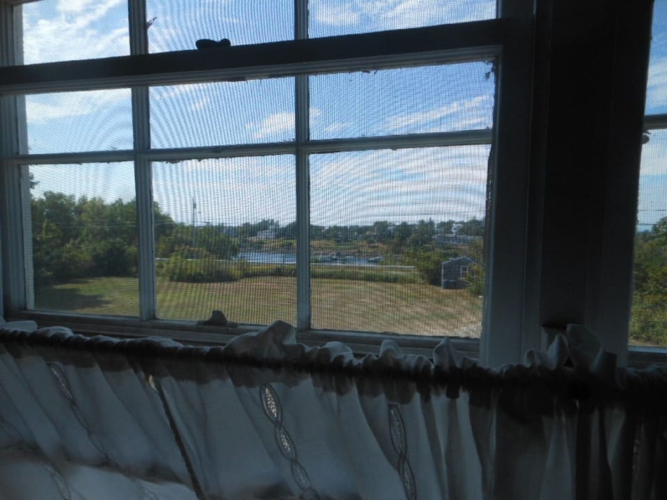 Cove across the street, seen from upstairs bath