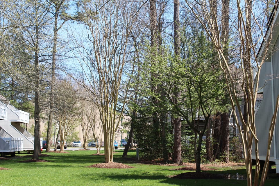 Looking @ tennis center from back deck 