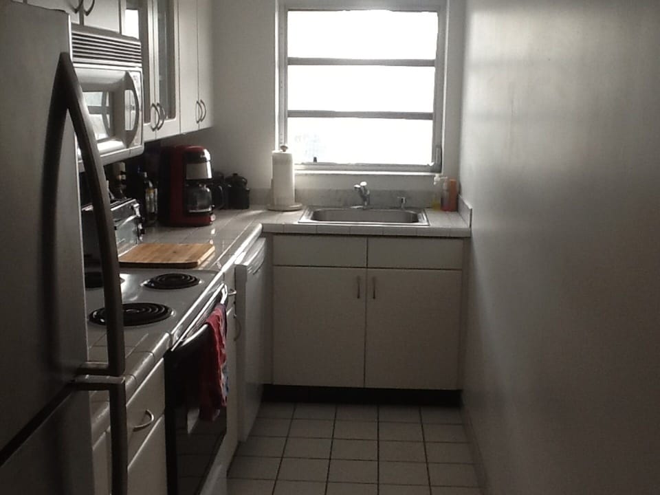 Kitchen - renovated with new lighting, fridge, and dish washer.