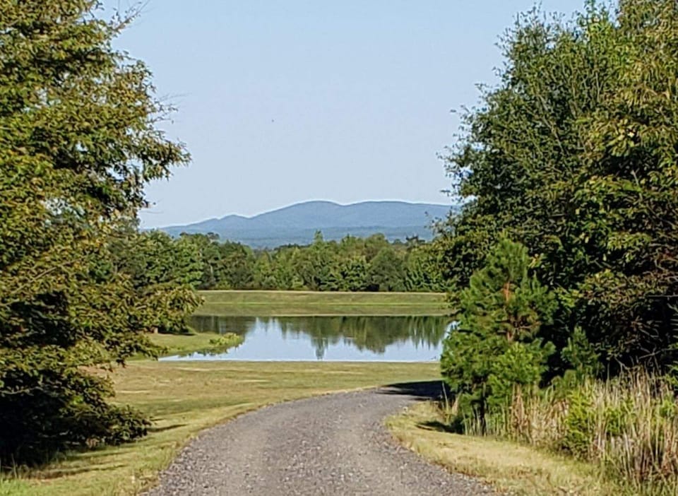 Lake w Mountain View