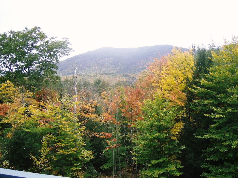 The views from the deck are great in all seasons, but especially in the fall