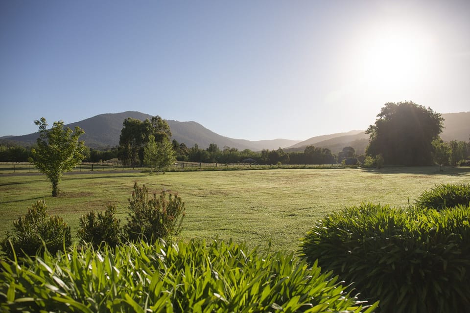Early morning at Harvest Farm and sun rising over Mt Toolebewong and Mt Riddell.