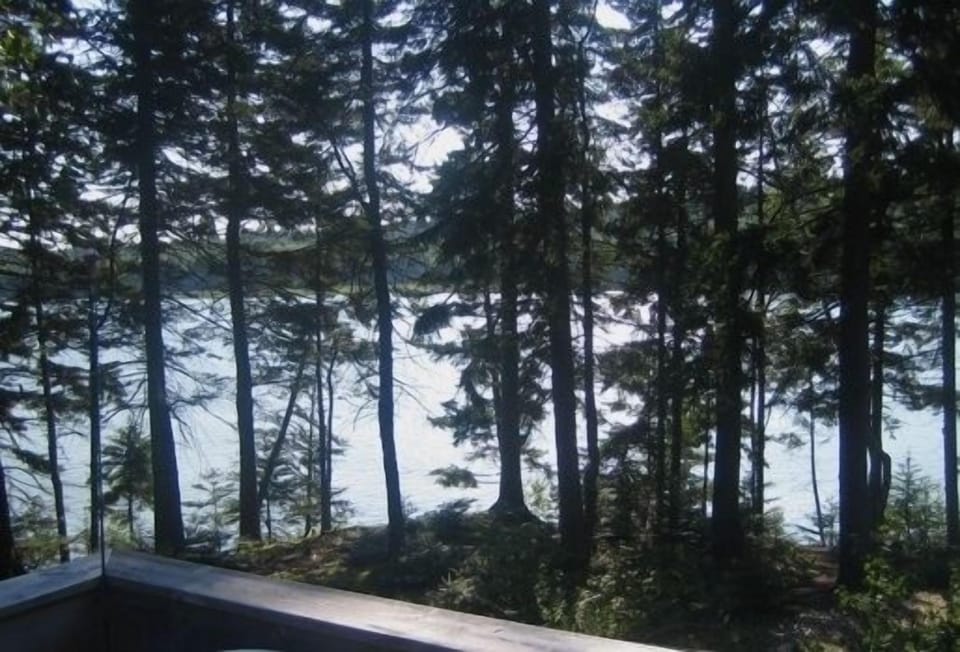 View from the deck