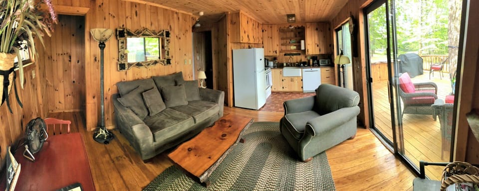Living room, kitchen area...opens out onto Tree Deck.