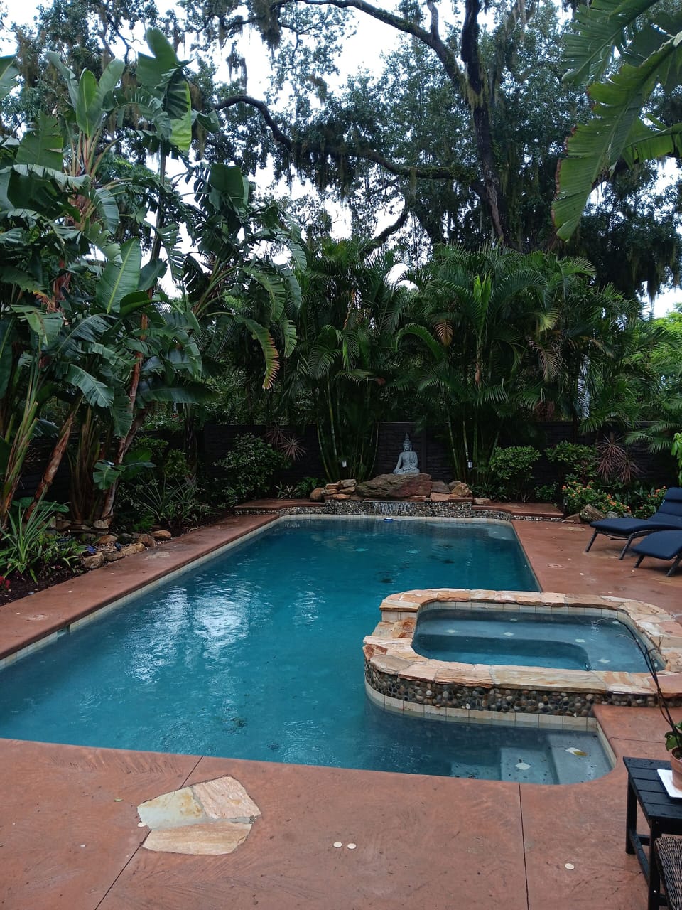 relax in our very private lagoon-style backyard