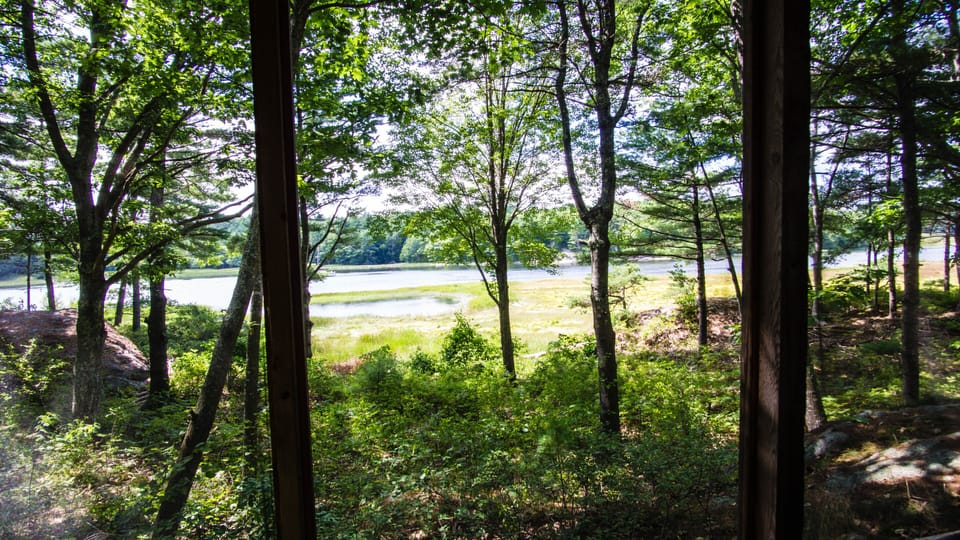 View from porch