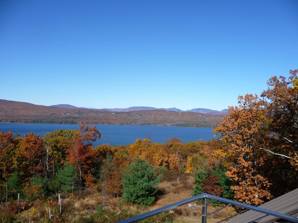 Fall Foliage!