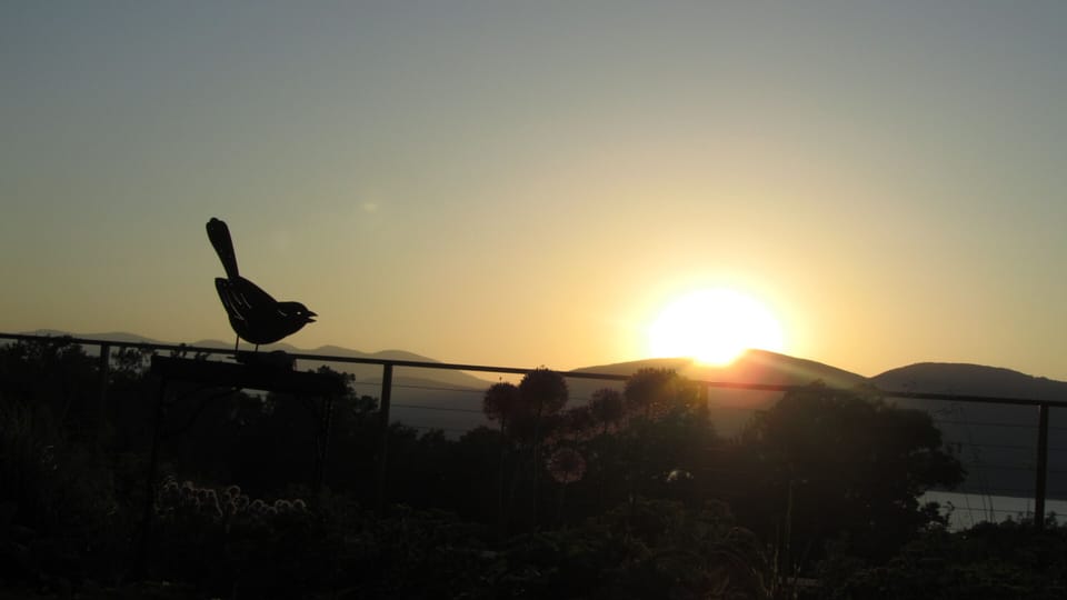 Summer Sunset from the Green Roof