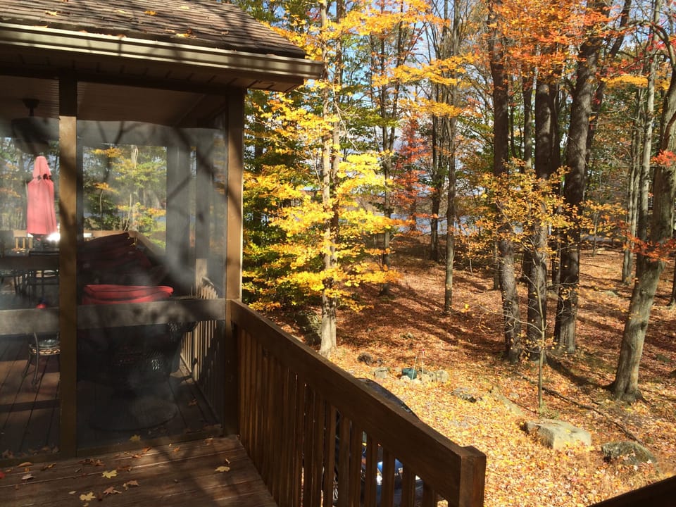 Screen porch