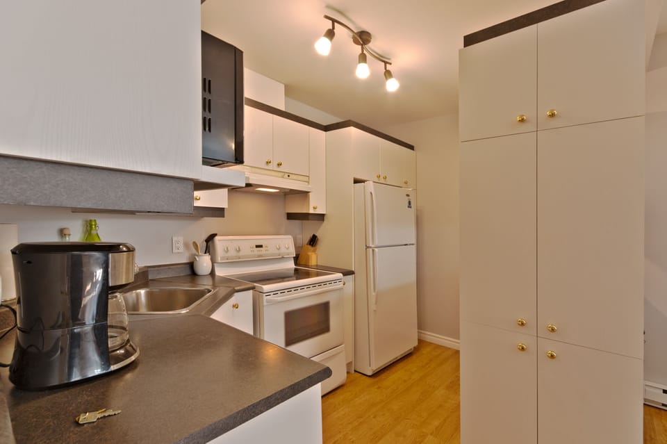 kitchen - main level