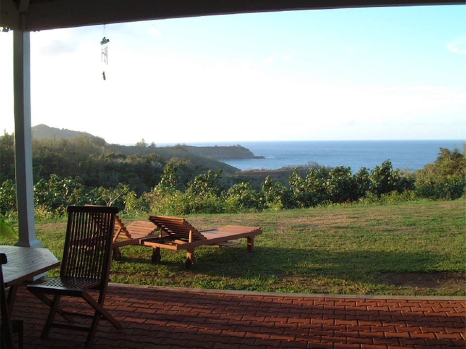 View from lanai- no homes or roads in sight.