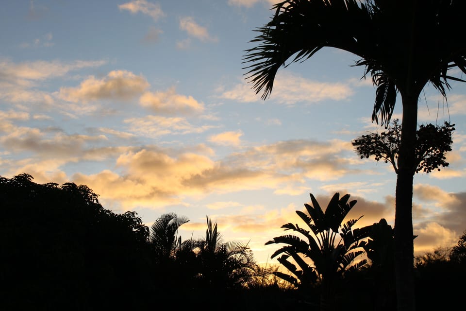 Peace and Tranquility