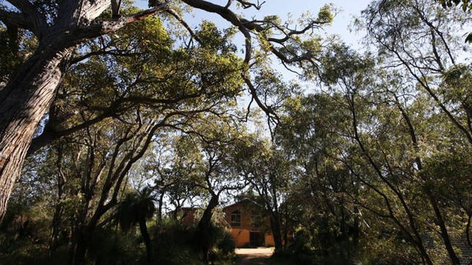 Meandering driveway through the native bush to the house