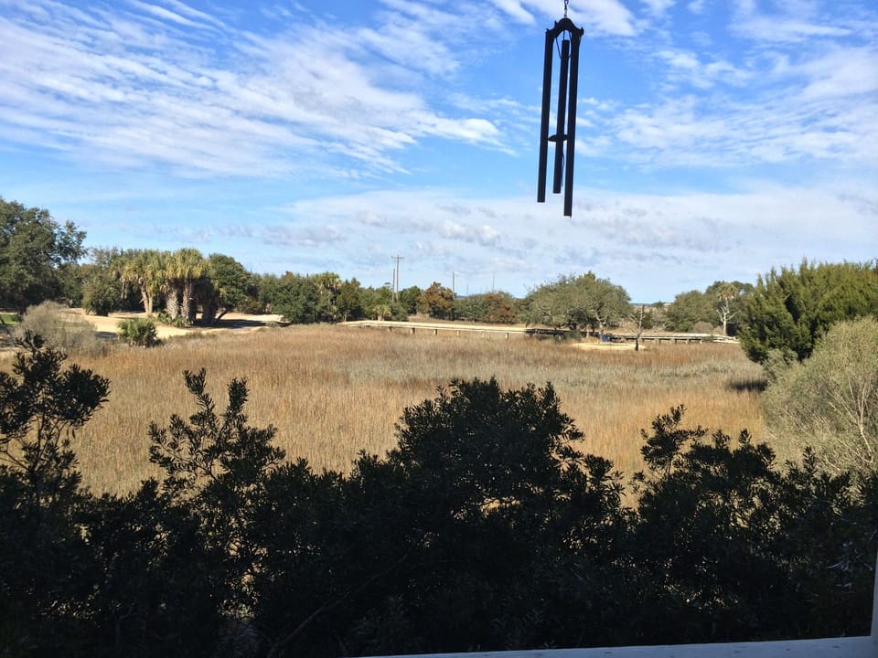 View from Deck