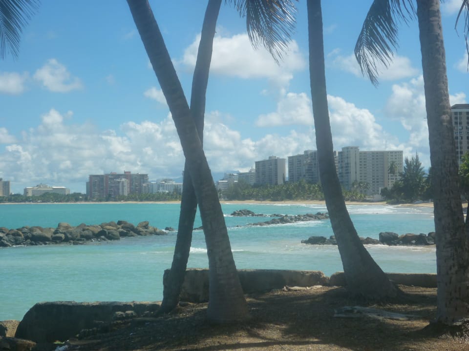 The near by calm, shallow cove ....fun and safe for small children