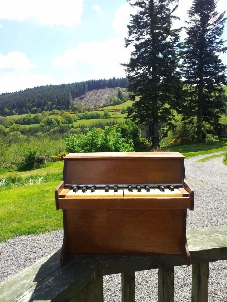 The hills are alive with the sound of music
