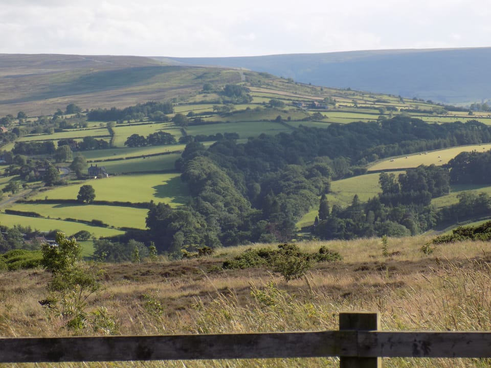 255b8602-ac9a-4f40-bdc7-d83217697d41