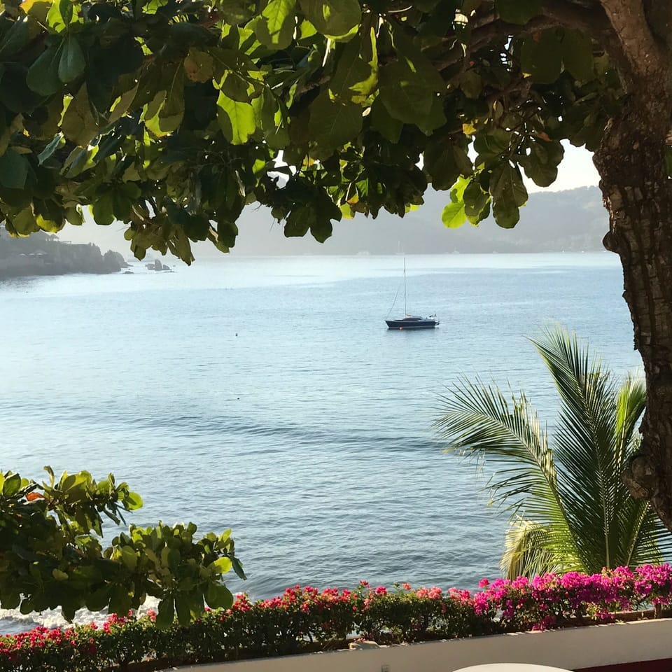 Dawn, view from the house 