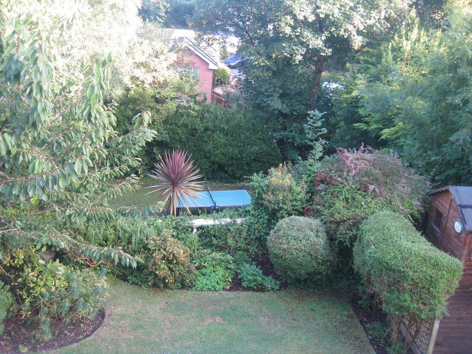 Garden and Table Tennis