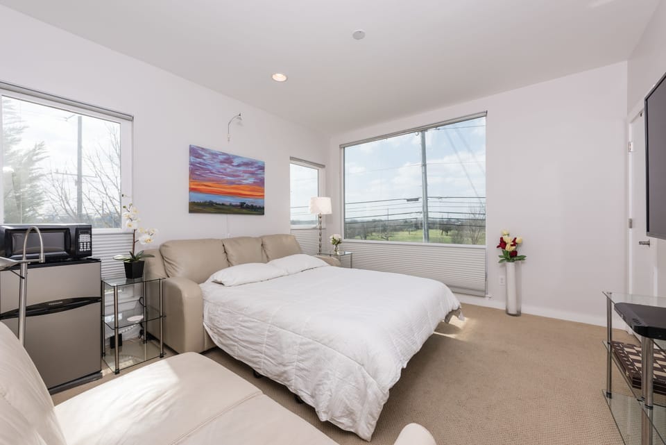 Front living/bedroom with premium queen size comfy convertible sofa bed