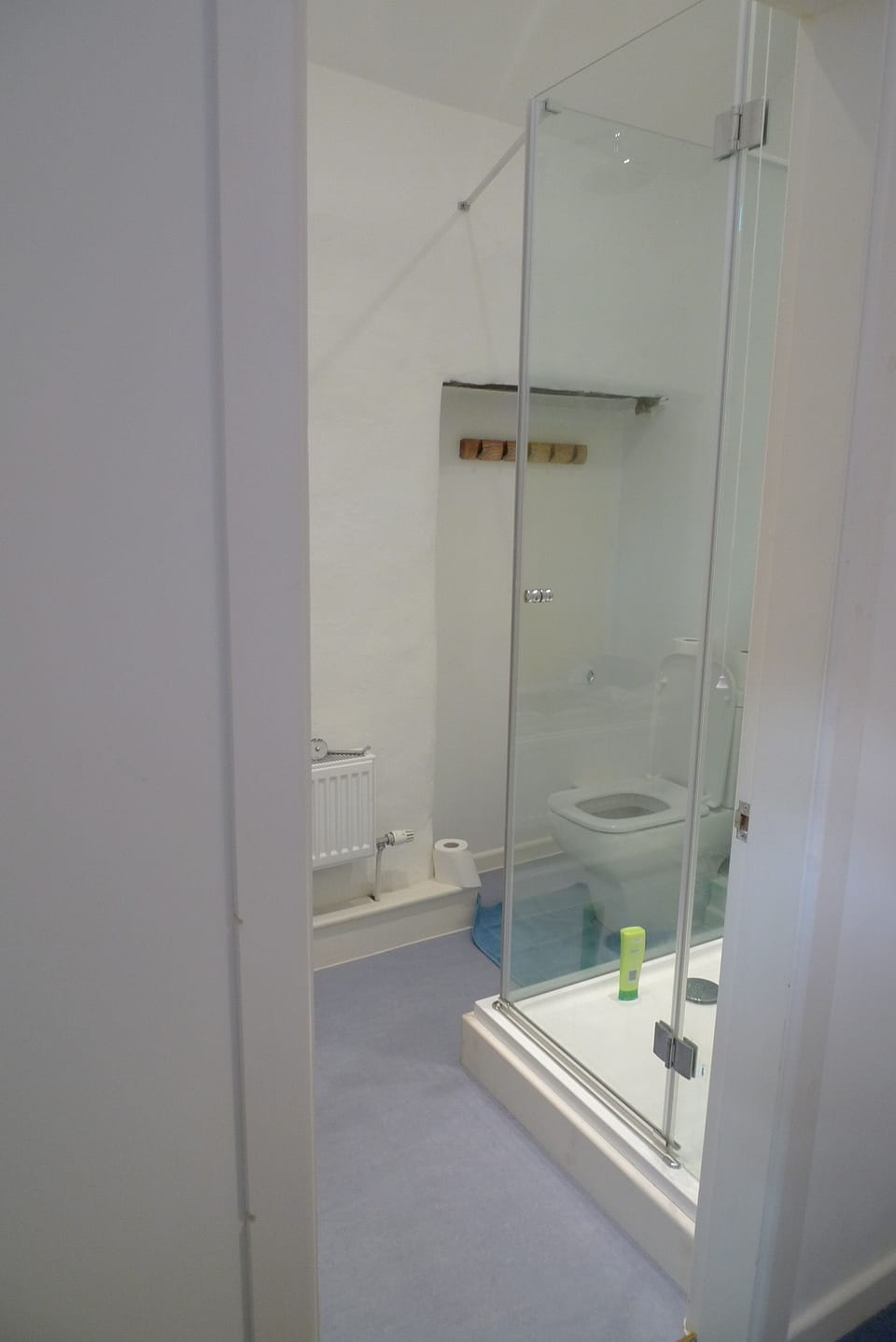 Shower Room (En Suite)