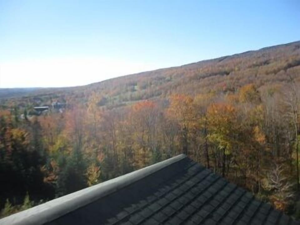 Mt. Snow and Village