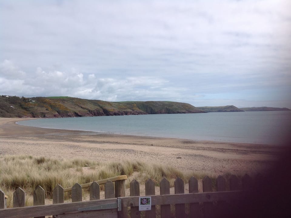 view from the garden