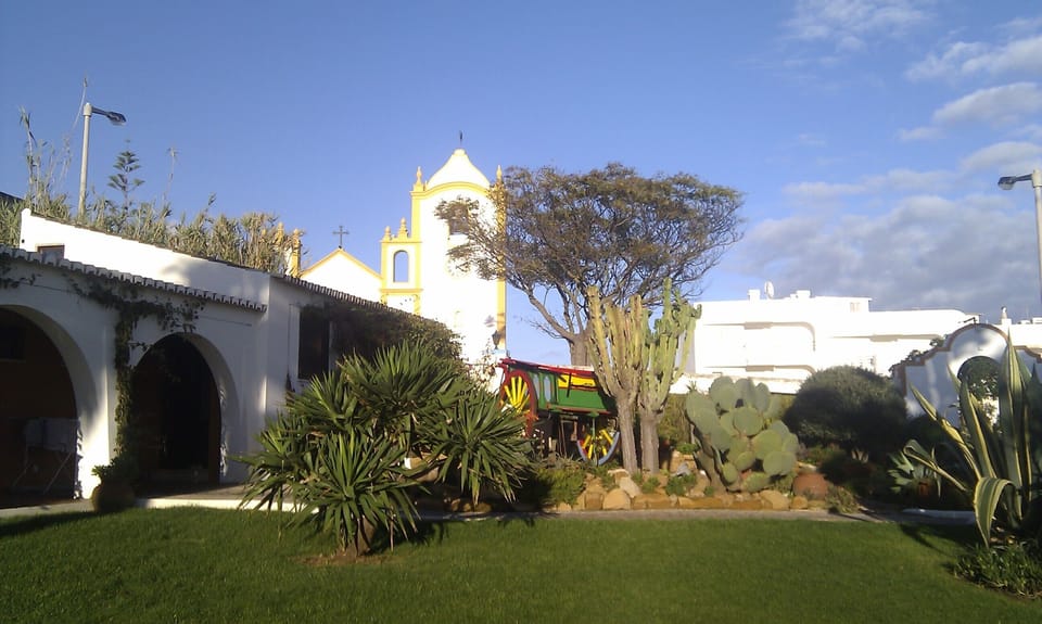 The Forteleza bar gardens, Nov 2011