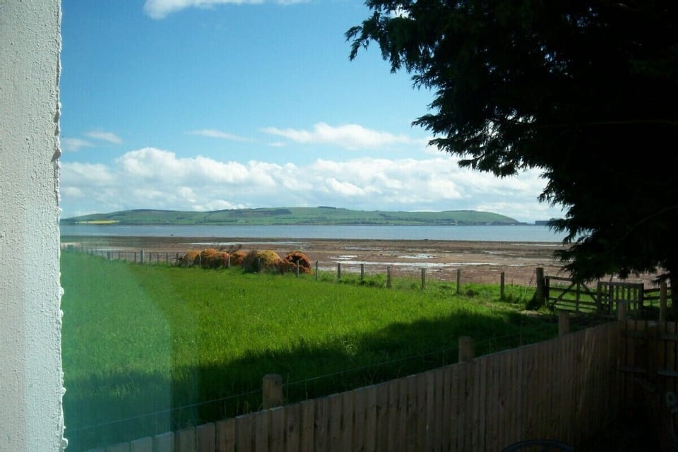 View from living room window