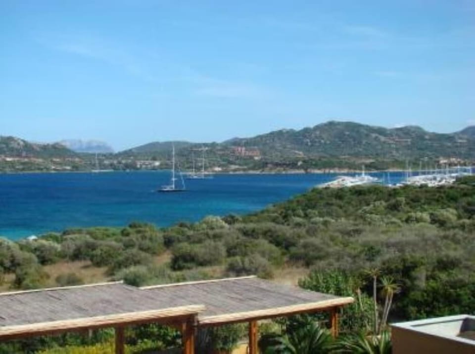 Overview