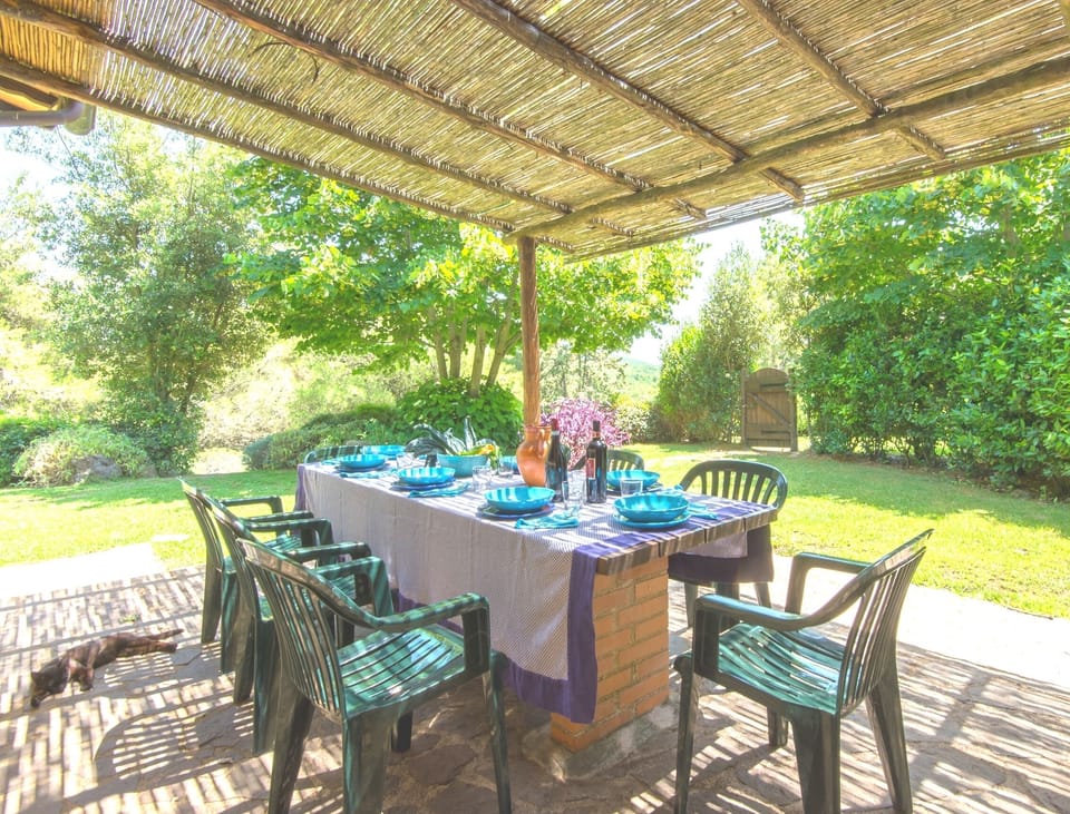 The table under the patio and the garden