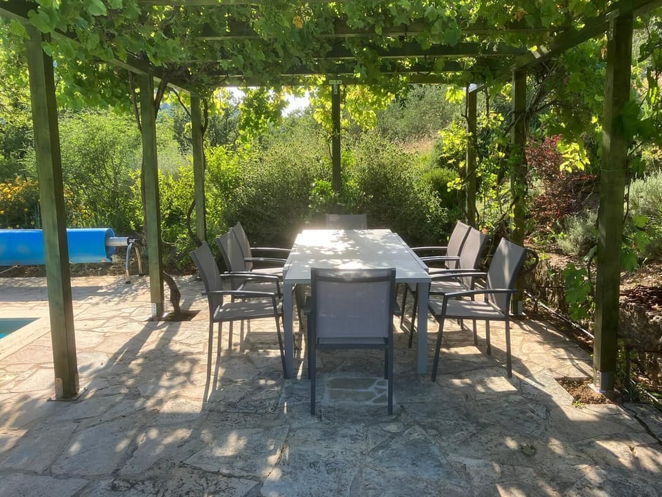 Pool pergola with vines to create a  shaded dining area