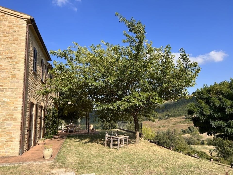 Front garden with mulberry tree
