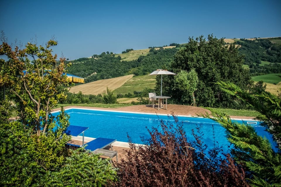 The pool is secluded and shielded by shrubs