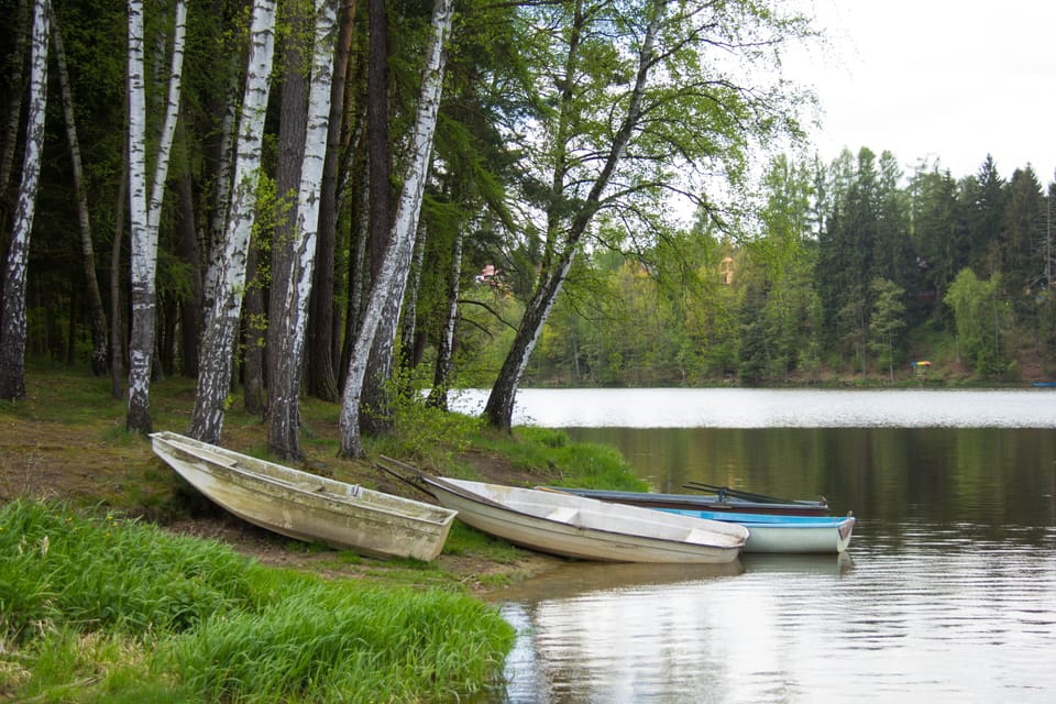 lake views