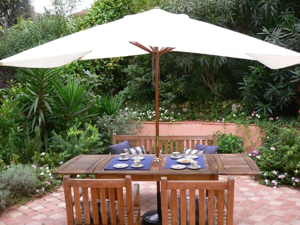 Courtyard garden