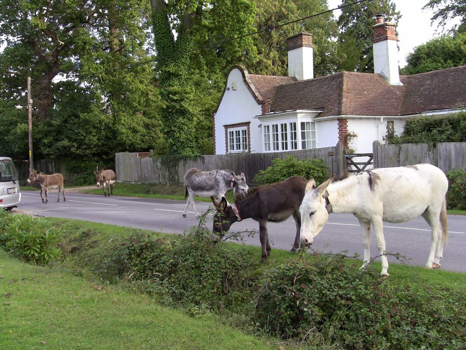 Brockenhurst