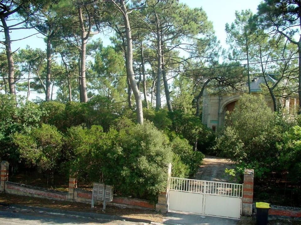 View from Bedroom
