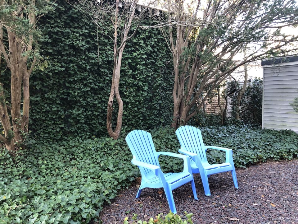 Shaded back yard