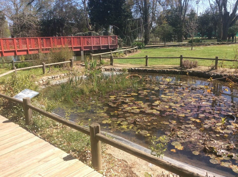Jardin des plantes - 3 minutes walk away and free entry