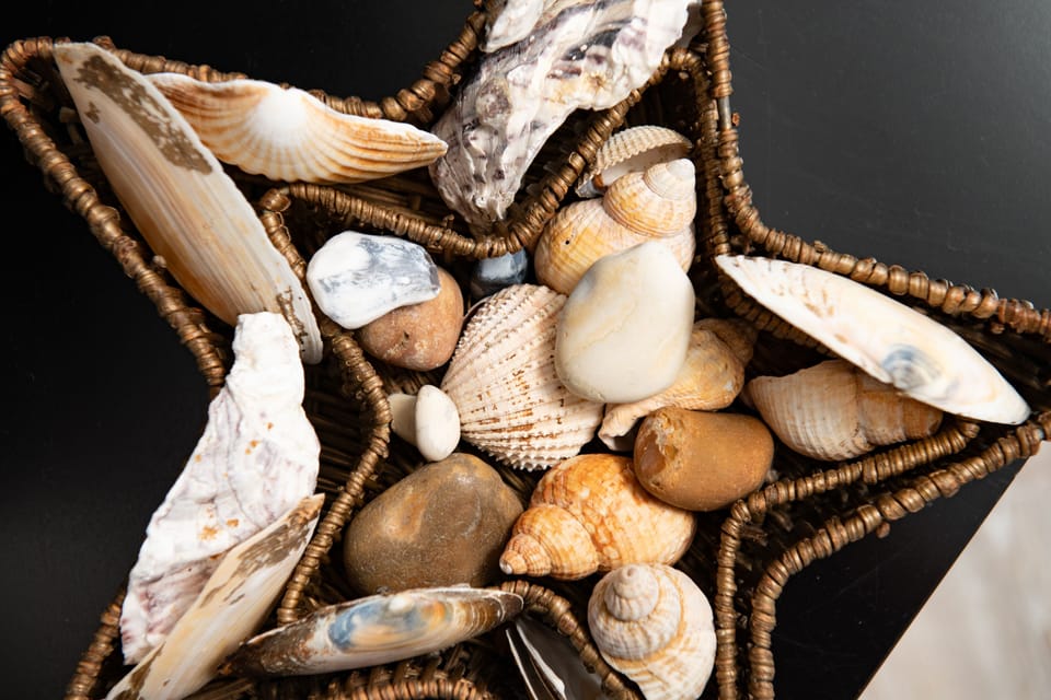 The shell collecting is excellent!