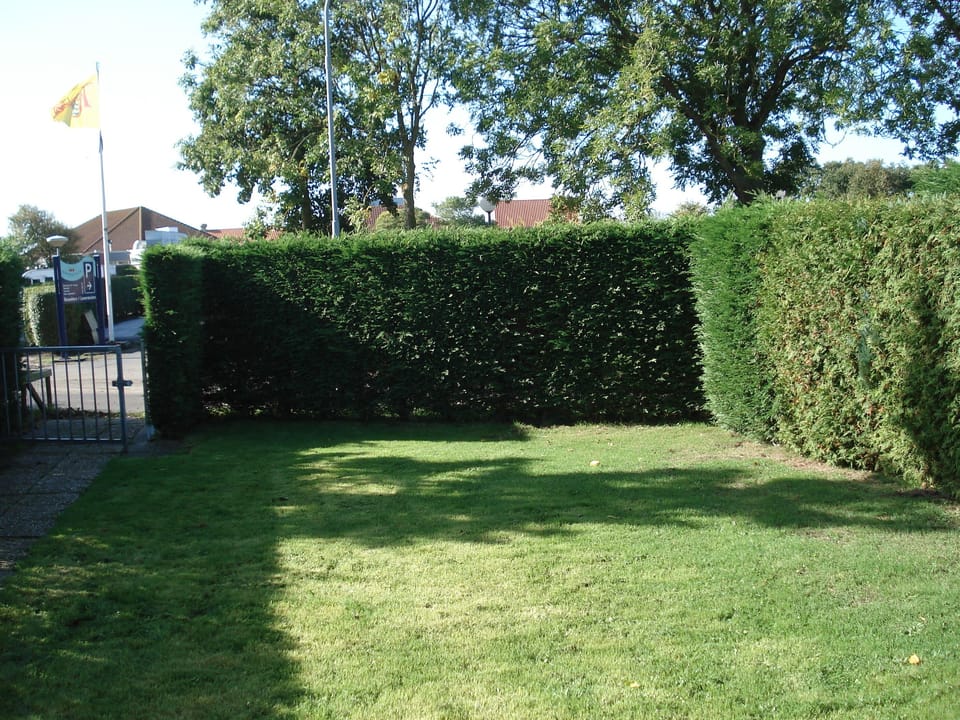 Tuin