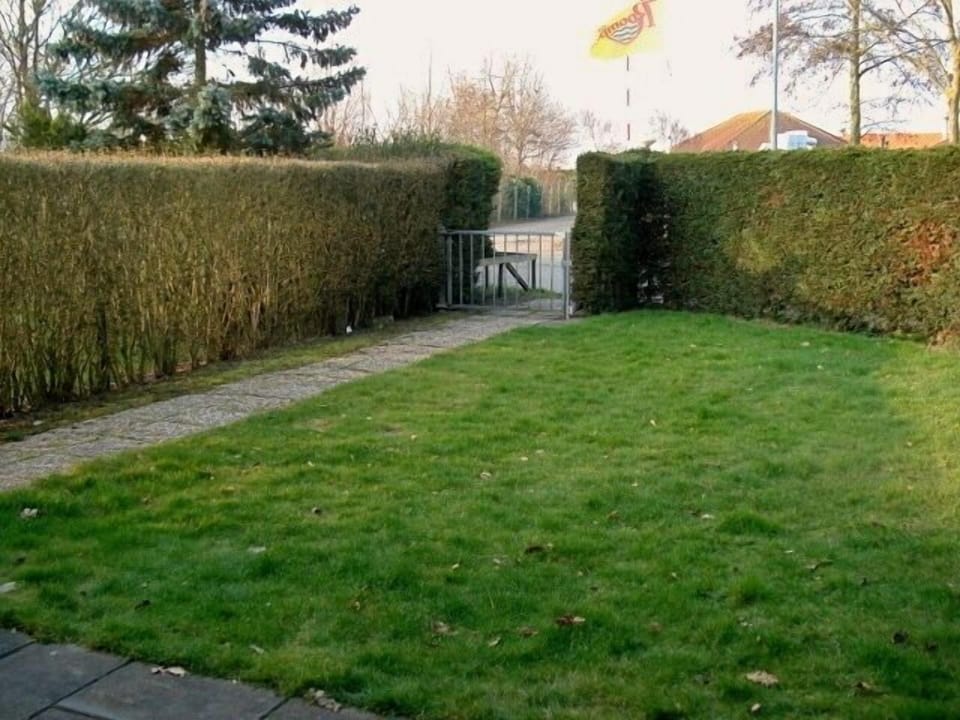 Tuin