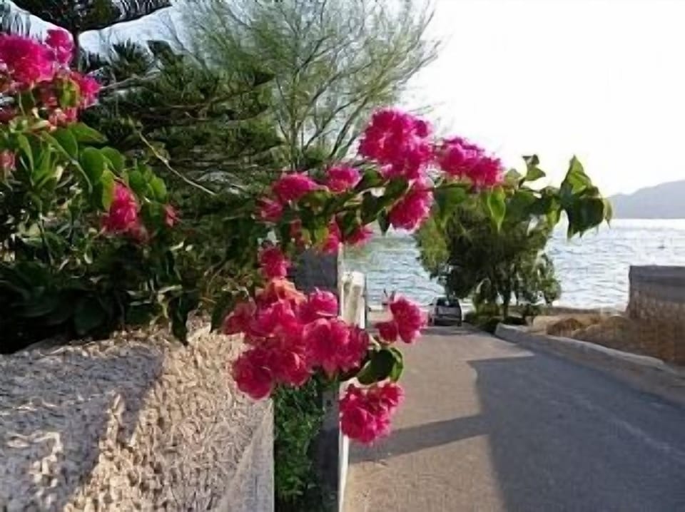 Beachfront Villa in Pefkos road to sea