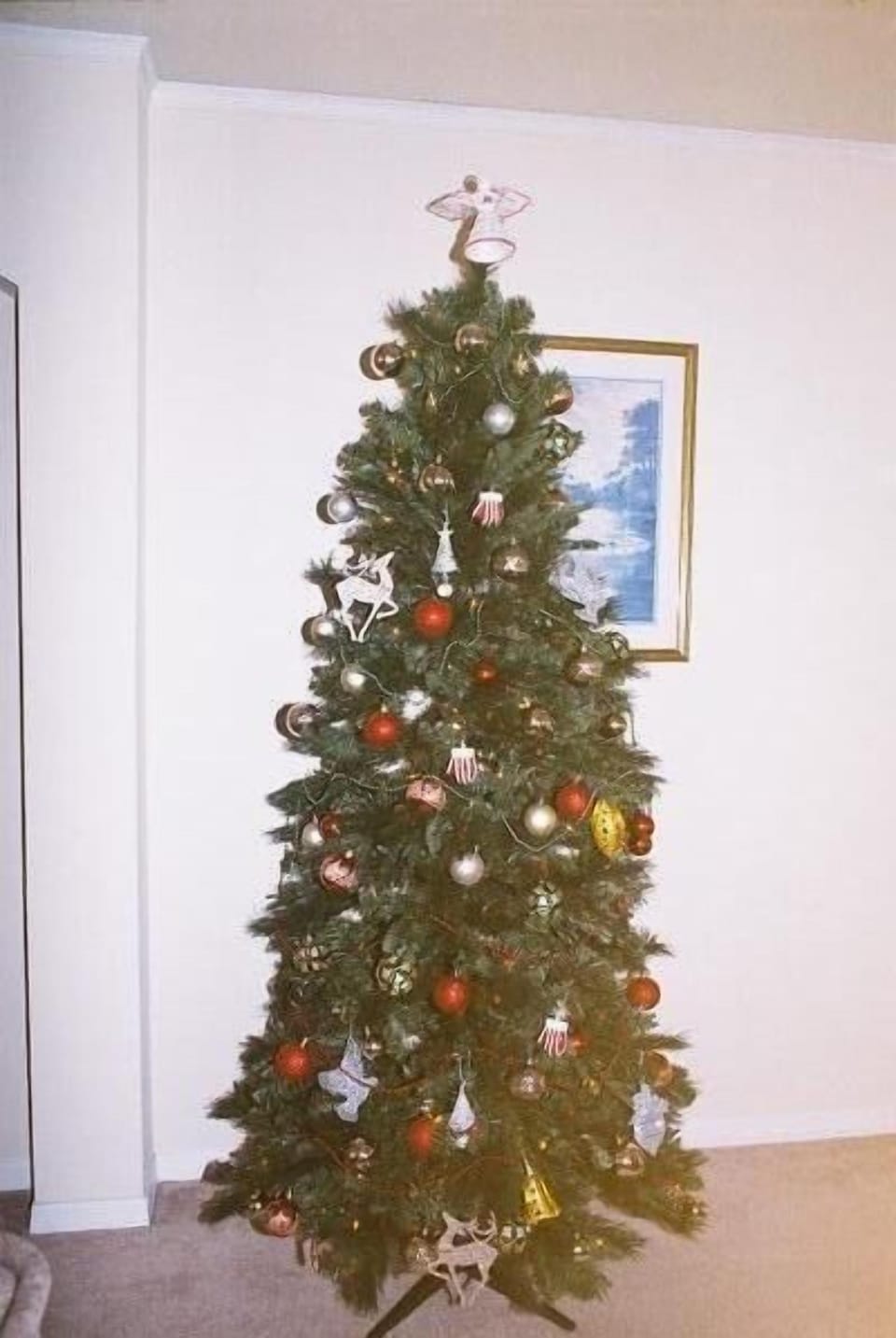 Decorated tree provided at Christmas