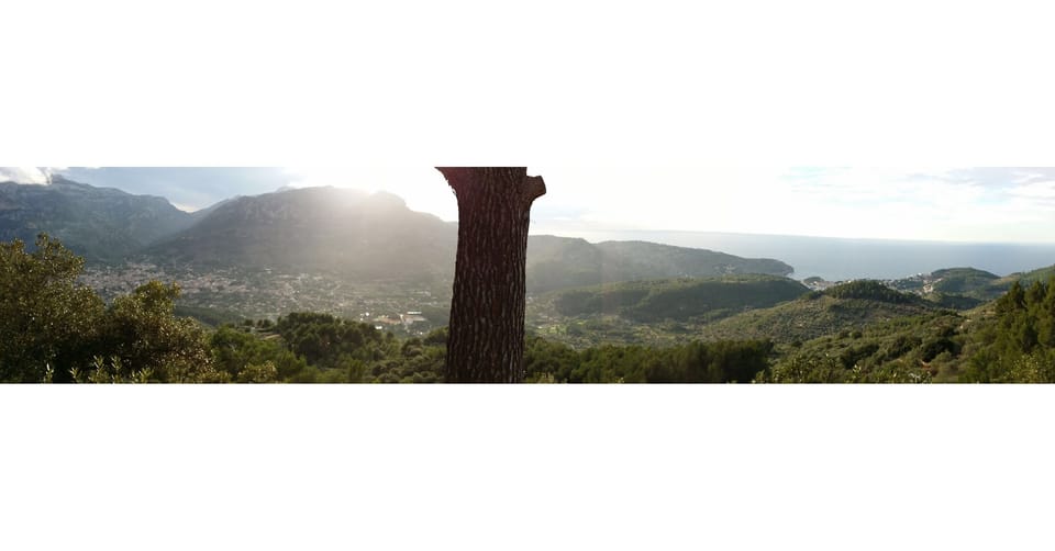 Views from the house