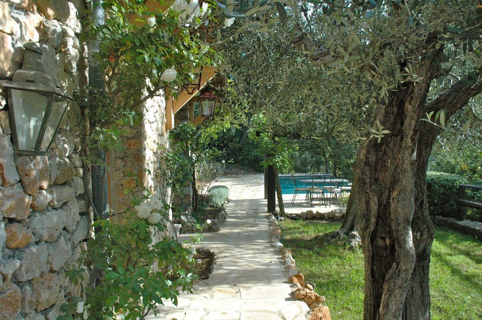 Pathway leading to hammock and pool