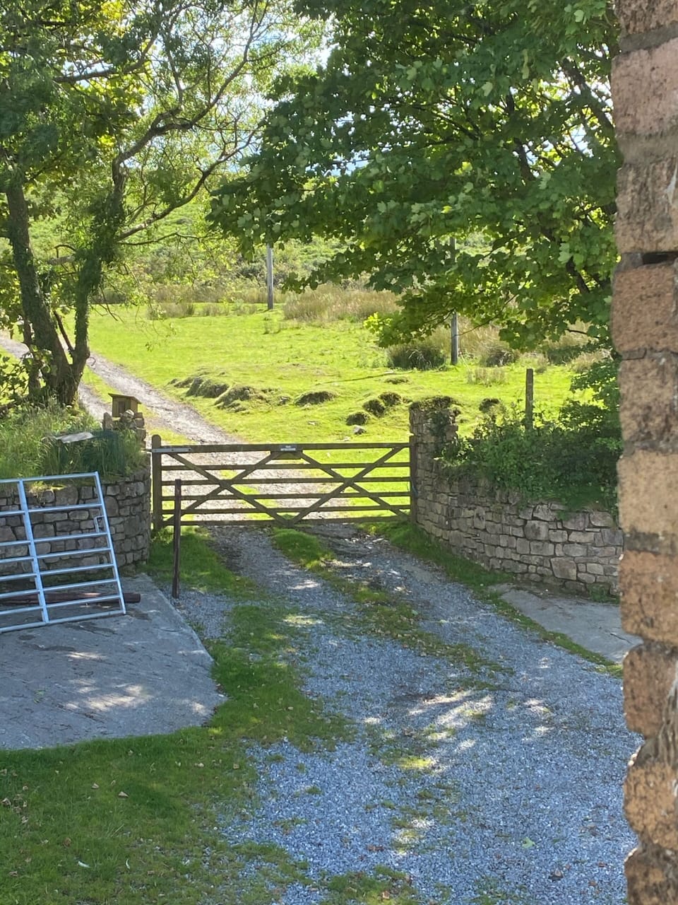 The gate straight out on Cefn Bryn common land 