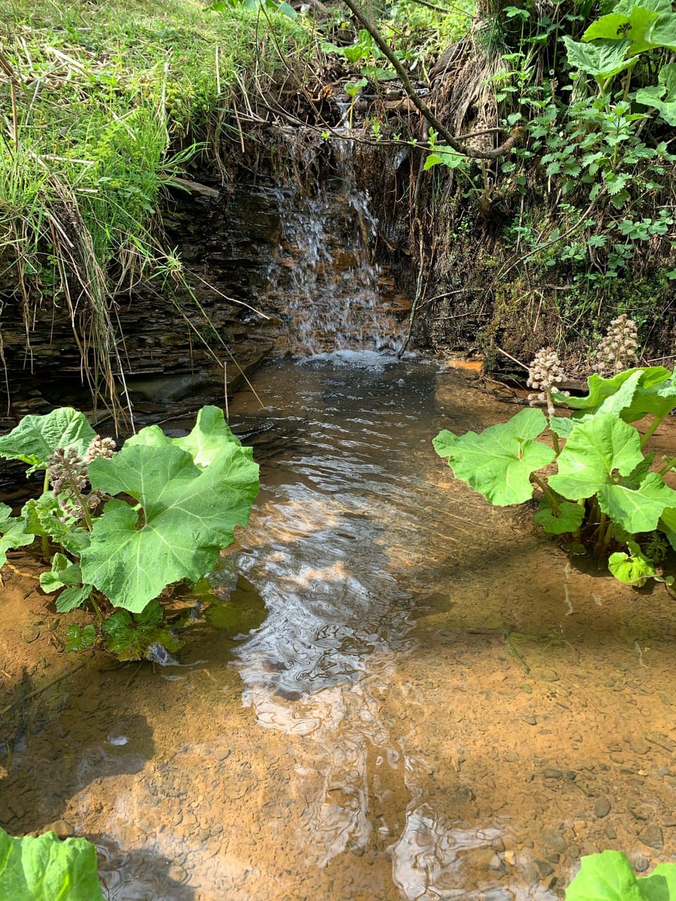 Explore the cottage field, plenty of streams and waterfalls.
